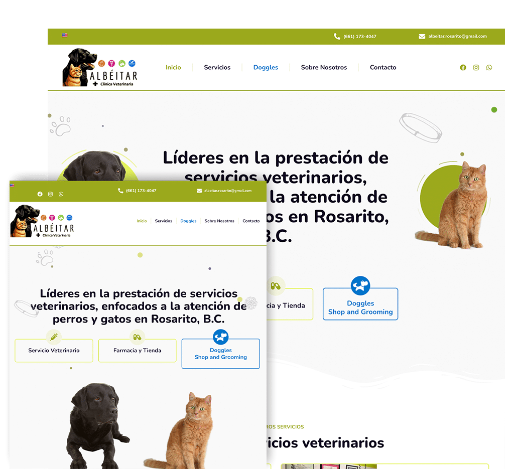 albeitar website idea 6