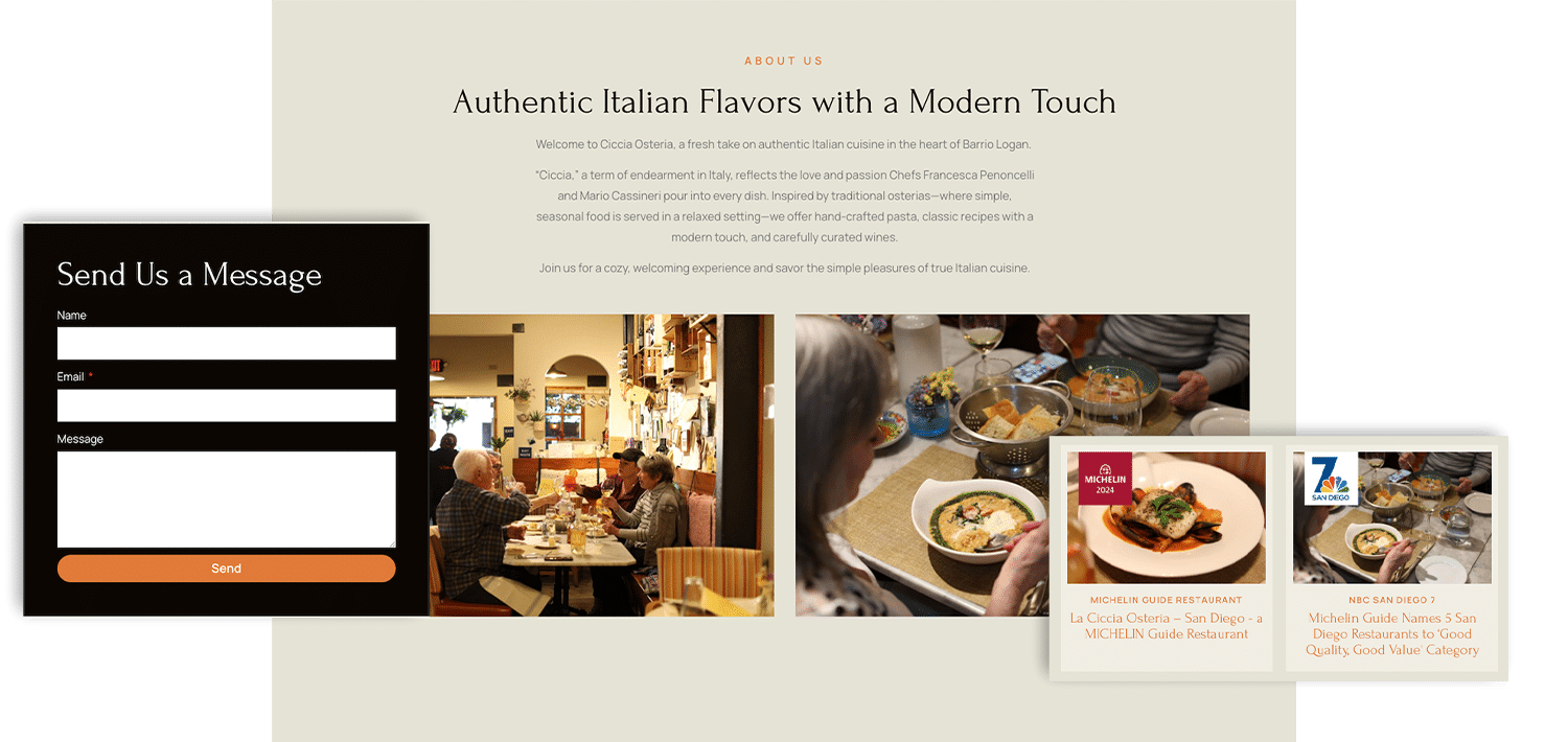 ciccia website idea 3